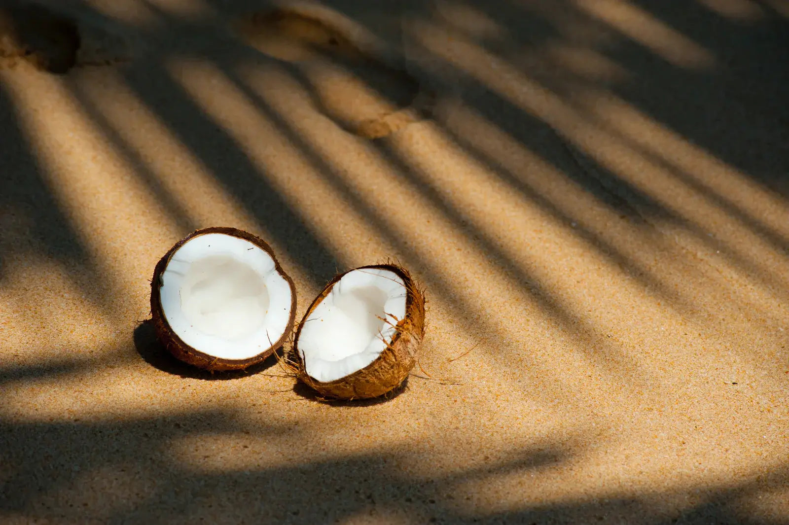 beach coconut delicious food